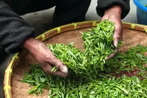 L’ora del tè