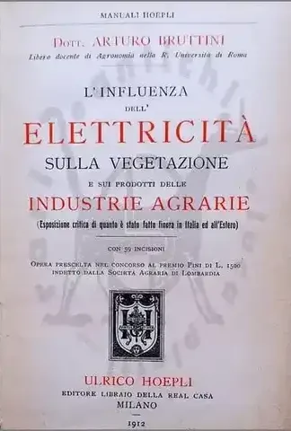 bruttini influenza elettricita vegetazione