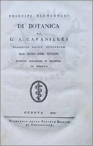 Cavanilles botanica Domenico Viviani